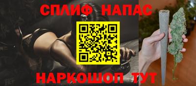 прущие грибы Беслан