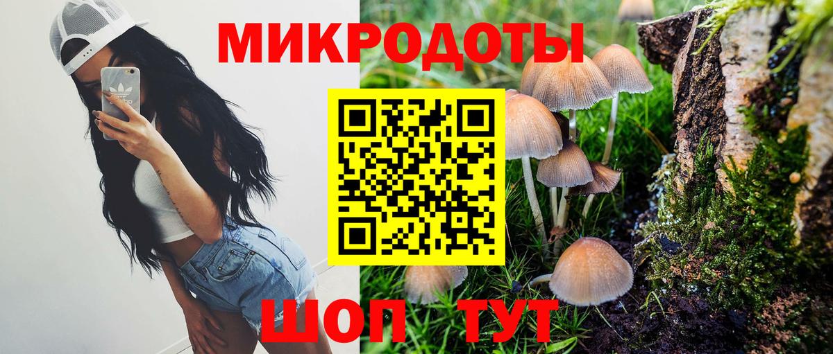 Касимов  Псилоцибиновые грибы GOLDEN TEACHER  Вход с VPN 
