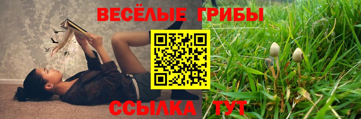 Псилоцибиновые грибы GOLDEN TEACHER Касимов