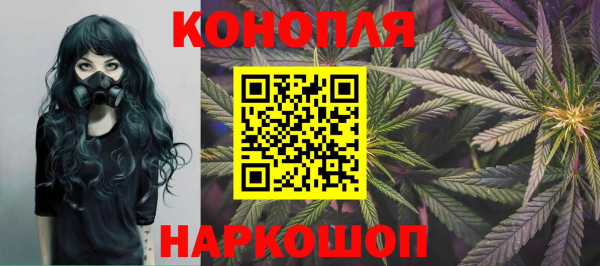 Бошки Шишки гибрид Касимов